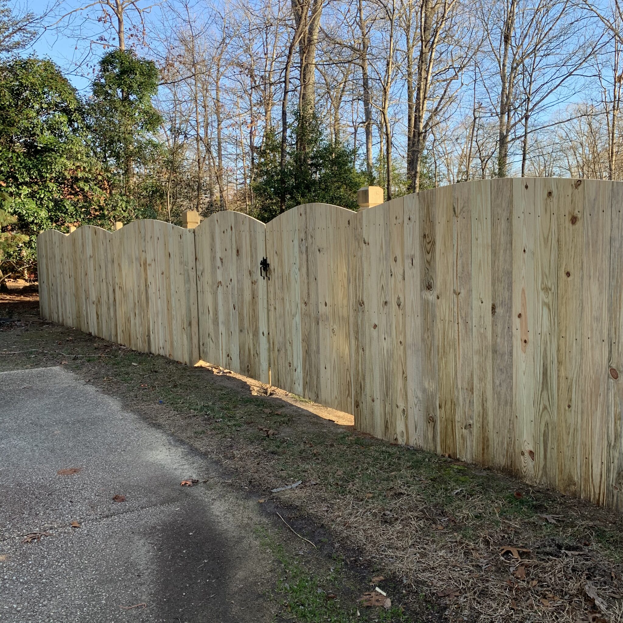 Convex wood privacy fence on beveled and notched posts
